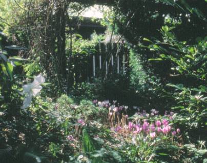 image020