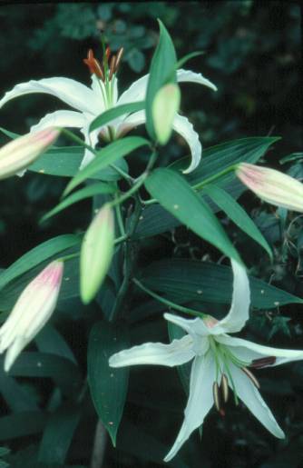 image022