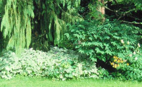 image026