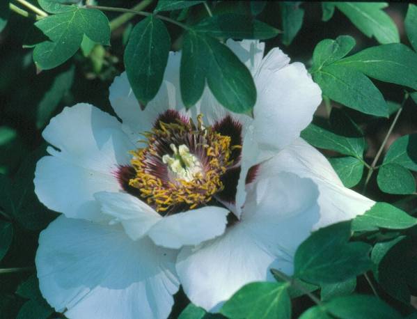 image020