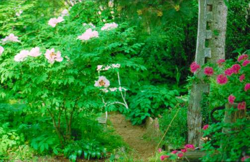 image022