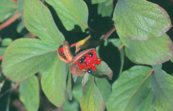 image024