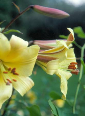 image020
