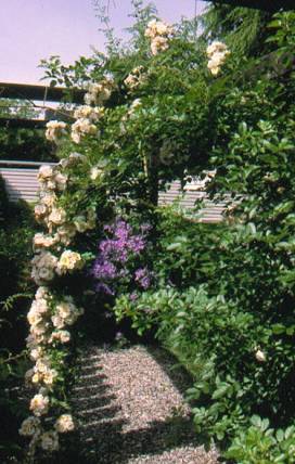 image006