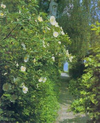 image010
