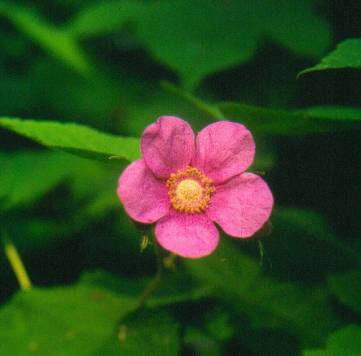 image029