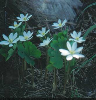 image010