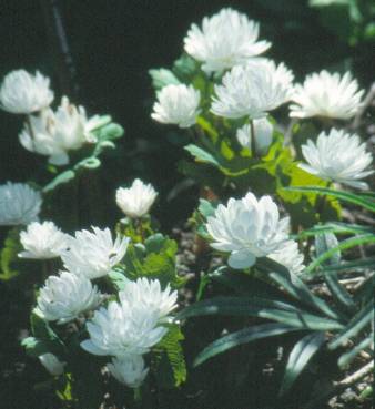 image012
