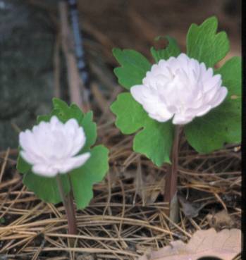 image014