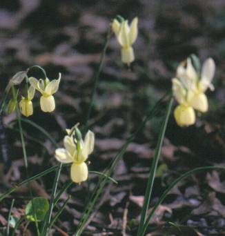 image016