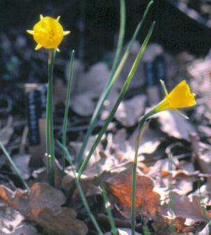 image018