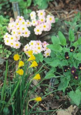 image020