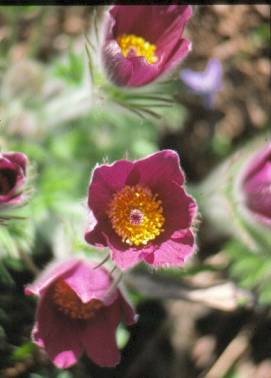 image024