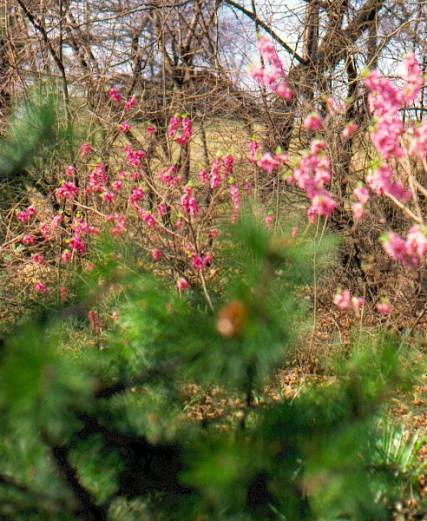 image014