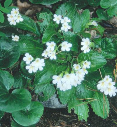 image012