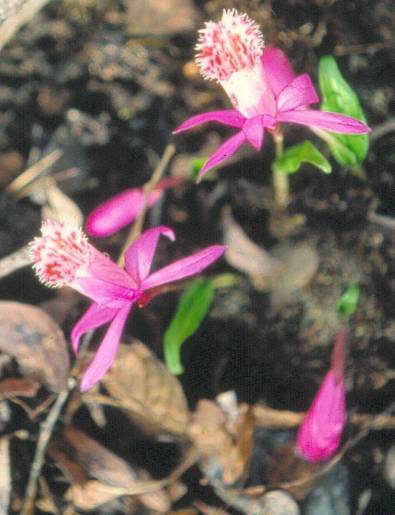image014