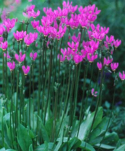 image018