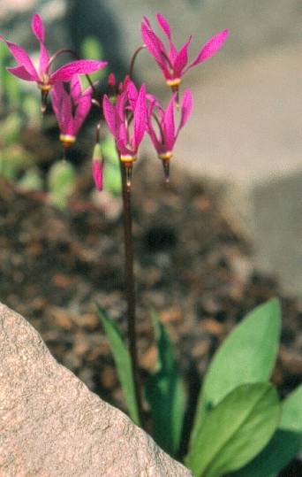 image020
