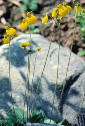 image022