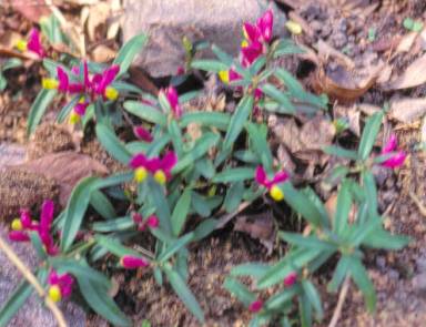 image024