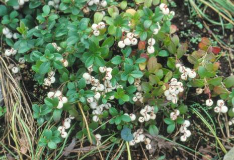 image026