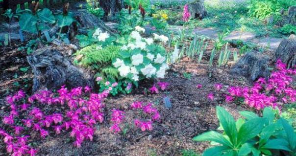 image016