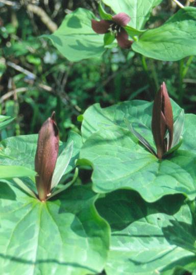 image014