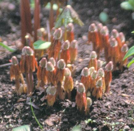 image018