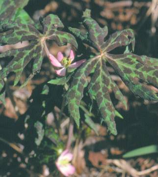 image022