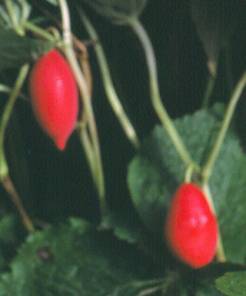 image024