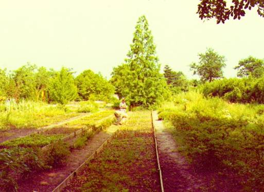 image003