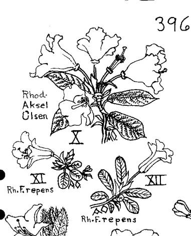 image005