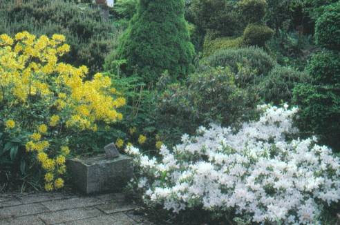 image009
