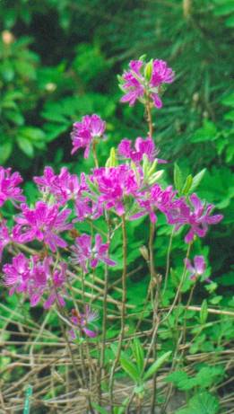 image011