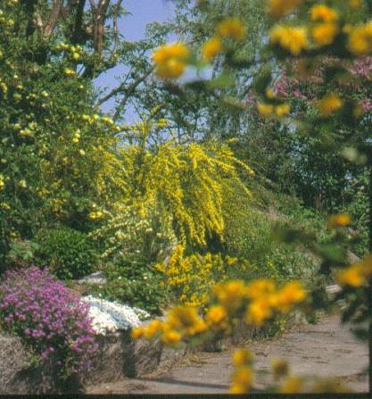 image001