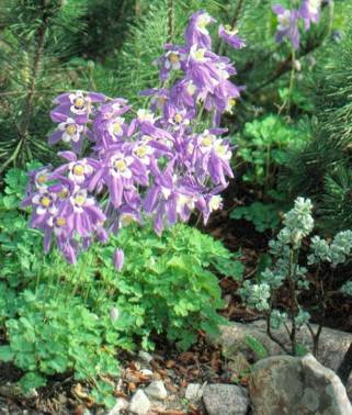 image012