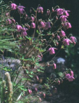 image016