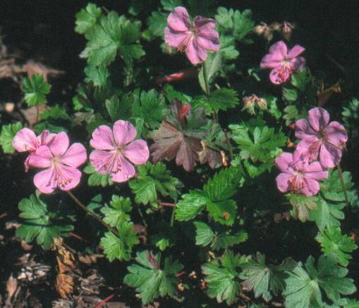 image022