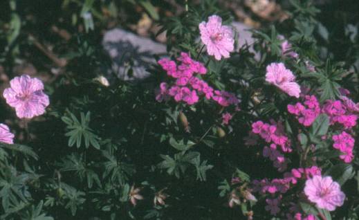 image024