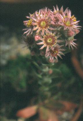 image039