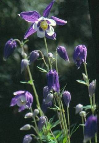 image014