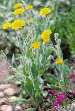 image018