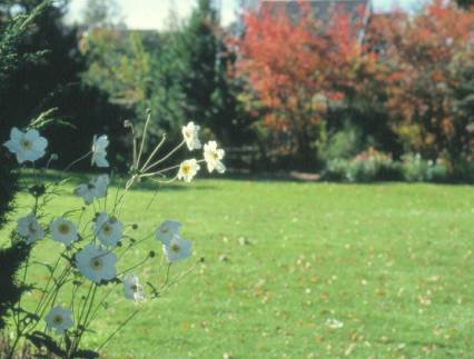 image004