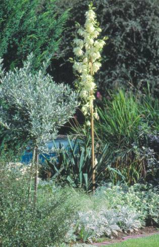 image012