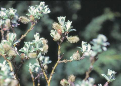 image014