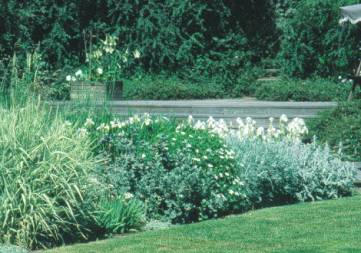 image016