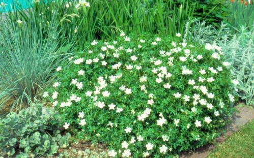 image018