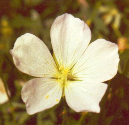 image020