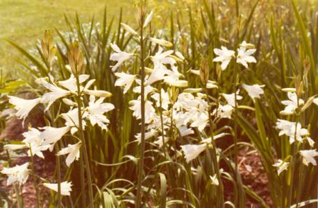 image022