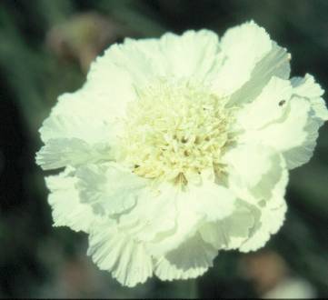 image024